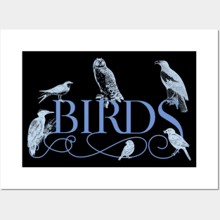 Bird Watchers Birders Bird Nerd's Design Woodpecker Owl Songbirds Posters and Art